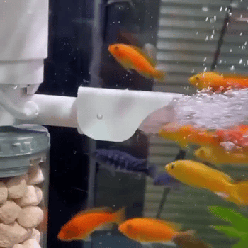 Filtro Eléctrico Silencioso para Acuario